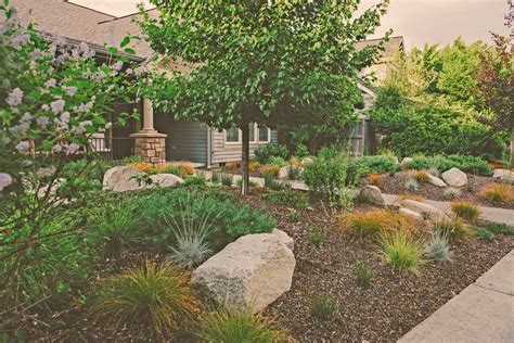 Drought Tolerant Front Yard Traditional Landscape Other By