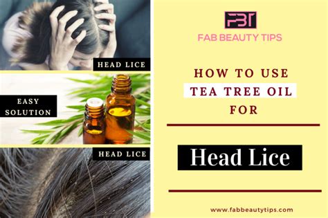 Top 3 Remedies How To Use Tea Tree Oil For Head Lice