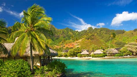 Download Cottage Photography Tropical 4k Ultra Hd Wallpaper