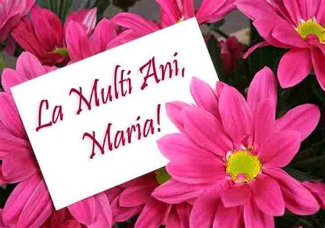 Anul acesta, ne bucurăm de weekend prelungit cu ocazia zilei libere de 15 august, adormirea maicii domnului, motiv pentru a prelungi astfel weekendul. Mesaje de SFANTA MARIA 2020. Urări şi felicitări pe care ...