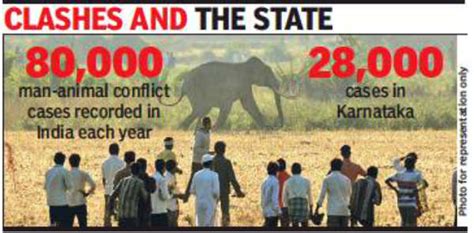 Karnataka Sees 77 Human Wildlife Conflicts Daily Bengaluru News
