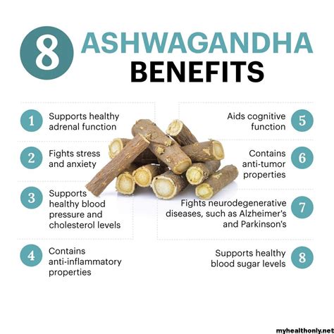 7 Top Benefits Of Ashwagandha Root You Must To Know My Health Only