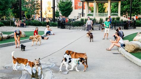 Five Next Level Dog Parks In The Us 🐶 Off The Leash