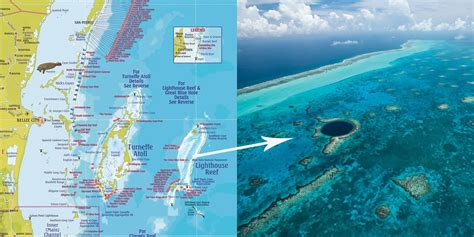 Discover Belize Barrier Reef Facts Snorkeling And Dive Sites