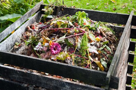 How To Start A Compost Pile Diy