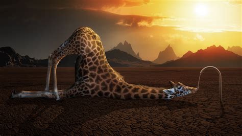 Nature is an import element of everyone's life because it affects everything. 74+ Weird backgrounds ·① Download free full HD wallpapers ...