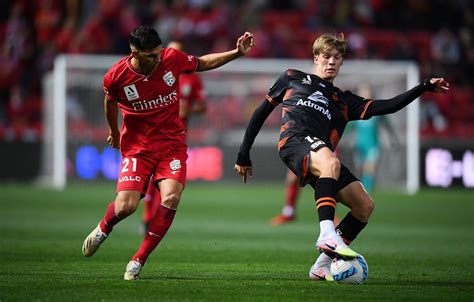 Brisbane Roar Fc Vs Adelaide United Fc 2025 Prediction - Megen Sidoney