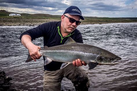 Midfjardara River Salmon Fishing Iceland Sportquest Holidays