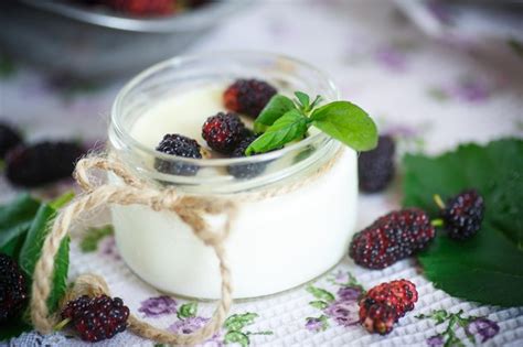 Can You Eat Yogurt While Taking Penicillin