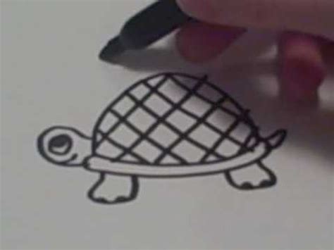 Turtles are adorable, with their silly shells and a head and legs that pop out of the shell. How to Draw a Cartoon Turtle - YouTube