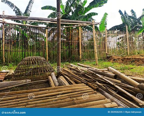 Piles Of Bamboo In The Fields Stock Image Image Of Wood Makassar