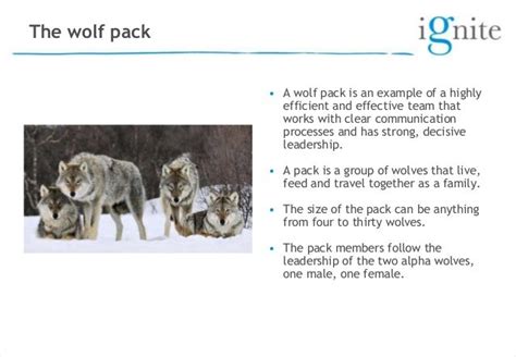 Learning With Wolves