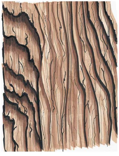 Arki101 | how to draw wood texture rendering tips rendering tips for wood texture. Architecture How-To Series: Wood Grain | Grains, Wood ...