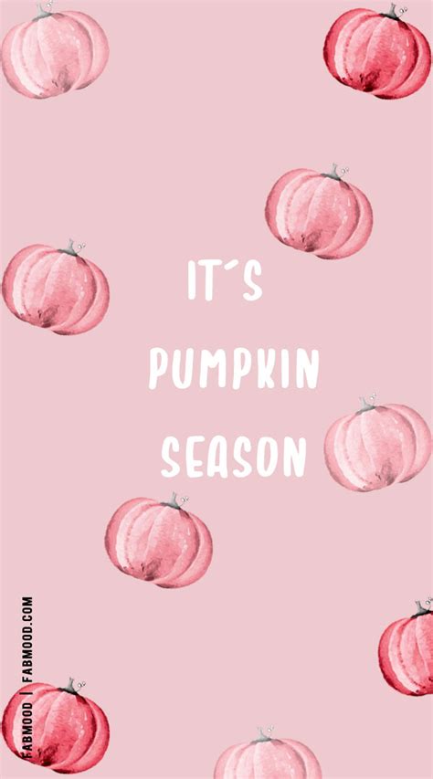 Cute Fall Wallpaper Ideas To Brighten Up Your Devices Its Pumpkin