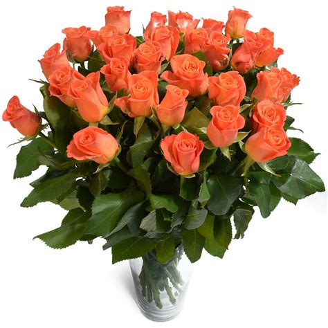 Pleasant Peach Roses Flower Bouquet Greater Cape Town Delivery