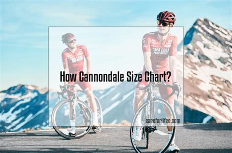 How Cannondale Size Chart 2024