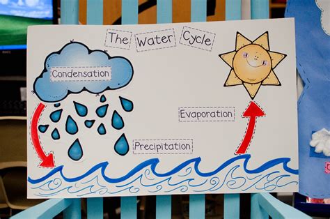 But to understand water, you have to understand the water cycle. The Water Cycle