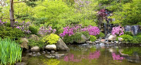 Anderson Japanese Gardens | Enjoy Illinois