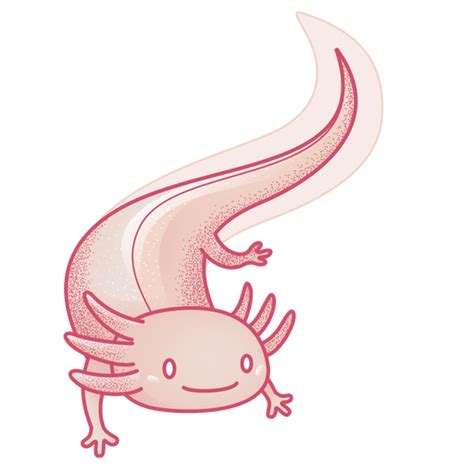 Image Result For Axolotl Character Study Ajolote Dibujo Dibujo De