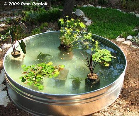 What temperatures can guppies survive outside? made fish pond filter | How to make a container pond in a ...