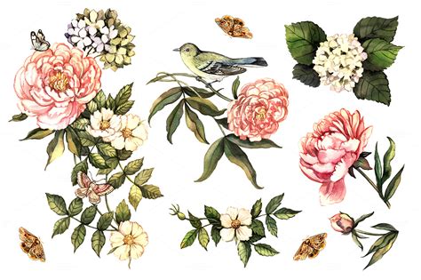 Poppy drawing flower art drawing drawing ideas flower drawings drawing drawing flower images flower pictures flower ideas art floral. Vintage watercolor set ~ Illustrations on Creative Market