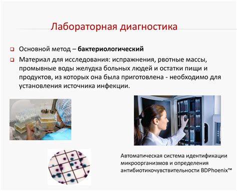 Пищевые токсикоинфекции и интоксикации - презентация онлайн Картинка - Пищевые токсикоинфекции и интоксикации - презентация онлайн