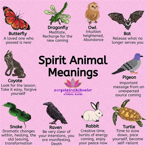 Have You Been Seeing Spirit Animals In Dreams Or Real Life Are One Of