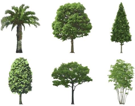 Tree Vector Vectors graphic art designs in editable .ai .eps .svg