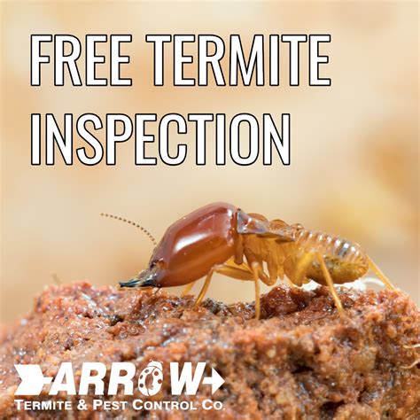 Whether you need a new home or existing construction treatment, arrow can help rid and secure your property from termites. Arrow Termite & Pest Control - 473 Photos - 1 Review ...