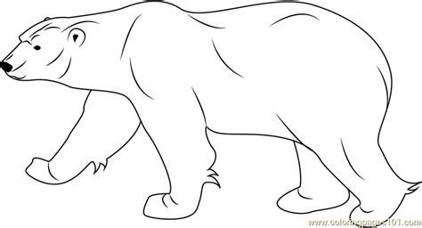 In this site, we bring you a nice best collection of free printable. Polar Bear Coloring Page - Free Bear Coloring Pages ...