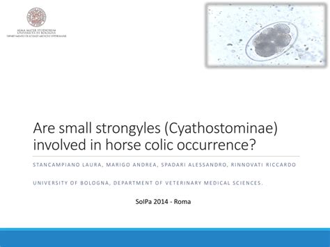 Pdf Are Small Strongyles Cyathostominae Involved In Horse Colic