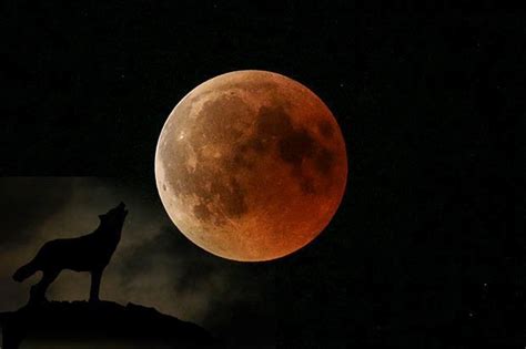 Take that away and you've got a super blood moon, which is a you can also plan on around one to five super blood moons each decade, but they only fall in january three times this century (the third and final. Eclipse 2019: What is a lunar eclipse? Why does the Super ...