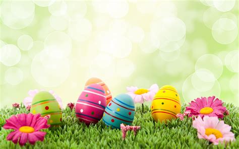 Easter Full Hd Wallpaper And Background Image 2880x1800 Id415280