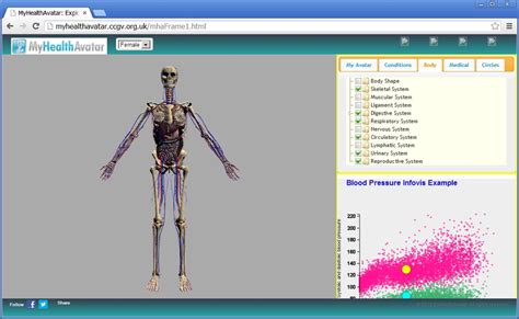 Nape, head, neck, shoulder blade, arm, elbow, back, waist, trunk, loin, hip, forearm, wrist, hand, buttock, thigh, leg, calf, foot, heel. Part selection shows the skeleton and internal organs of the female model | Download Scientific ...