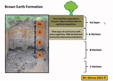 Brown Earth Soil Formation Youtube