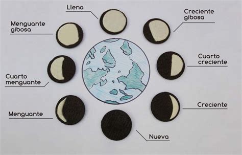 Fases De La Luna NiÃ±os Dinami