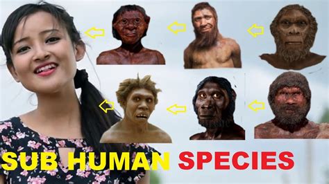 Sub Human Species Detail Explanation Scientific And Educational Video