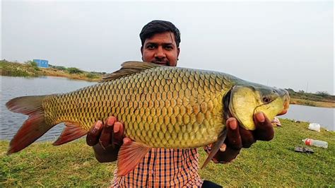 Amazing Fishing Techniques Rohu Fishing Technique Big Rohu Fish