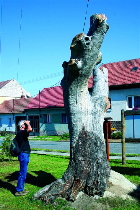 Vlídný a nevšední den vám přeje jiří suchý ze semaforu. Oskerušovou stezkou do Bílých Karpat | NaCestu.cz