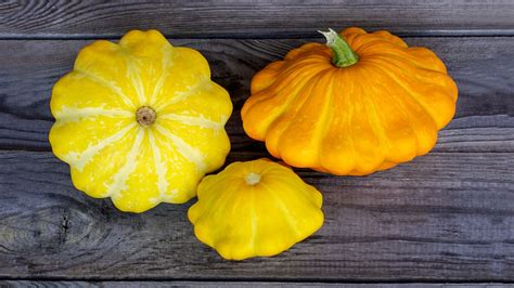 8 Delicious Types Of Squash Squash Varieties Different Kinds Of