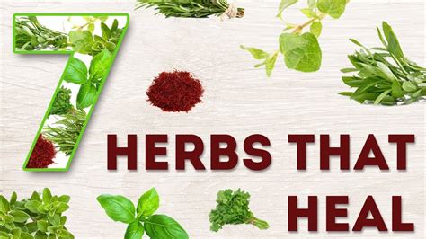 7 Herbs That Heal What Are The Most Important Herbs For Health And