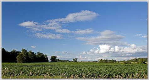 Ontario Countryside