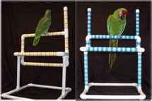 Portable table top stand bird perch 12 x 12 base ebay seller parrotsahoy. Perch Factory | Plastic Table Top Bird Stands - PVC Parrot ...