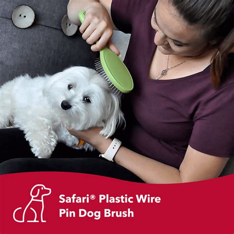 Safari Wire Pin Dog Brush Everyday Pets Nz