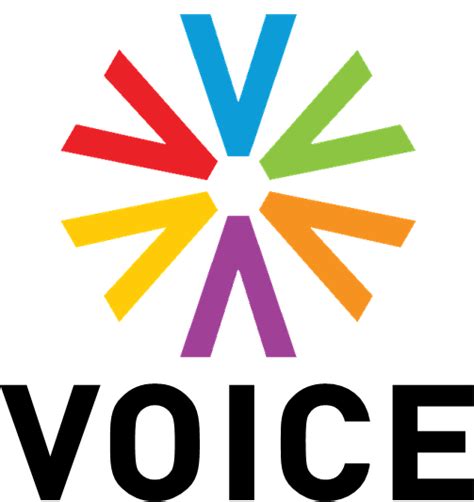 Image - Voice TV 2017.png | Logopedia | FANDOM powered by Wikia png image