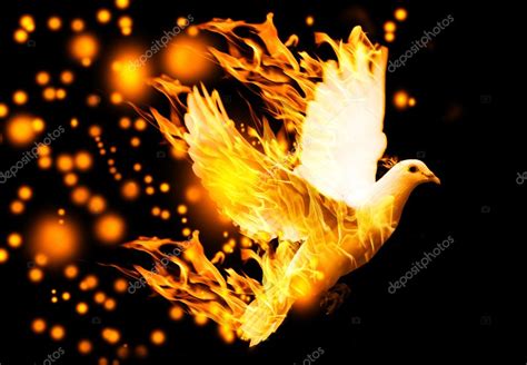 Flying Dove On Fire — Stock Photo © Betochagas 25648661