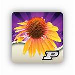 Doctor Purdue Android Suite Plant App Perennial