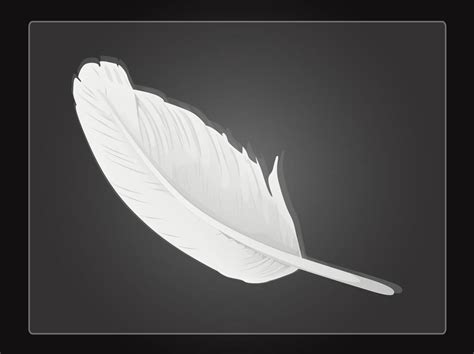Vector Feather Vector Art And Graphics