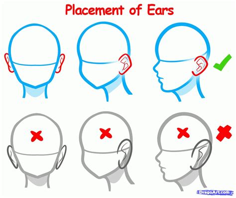 Ear Placement Anime Drawings Anime Drawings Tutorials Drawing Tutorial