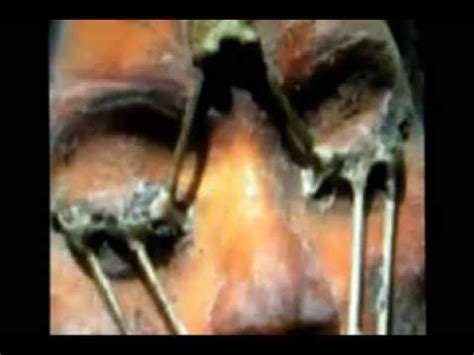 We did not find results for: Above Top Secret Real Truth of UFOs - YouTube